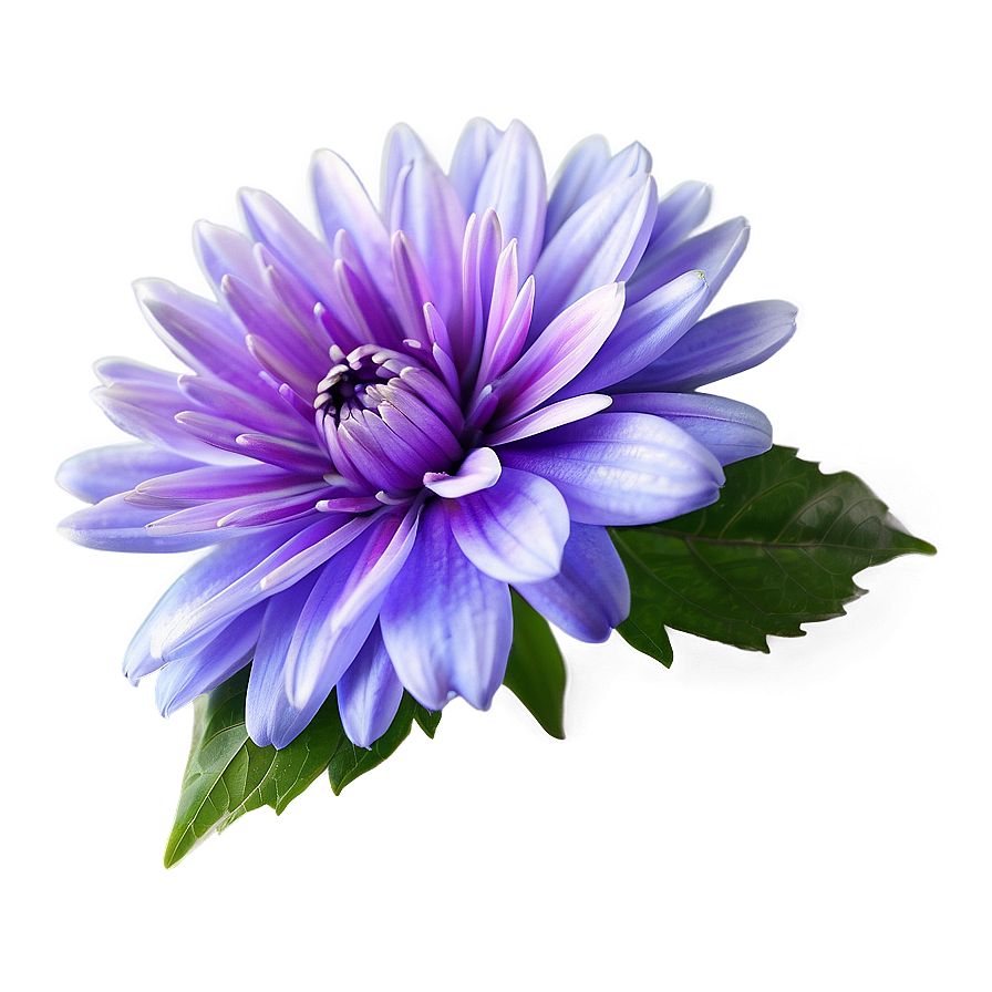 Dreamy Purple Flower Png 05242024 PNG image