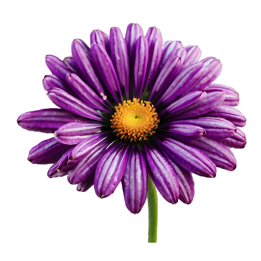 Dreamy Purple Flower Png Lqr PNG image