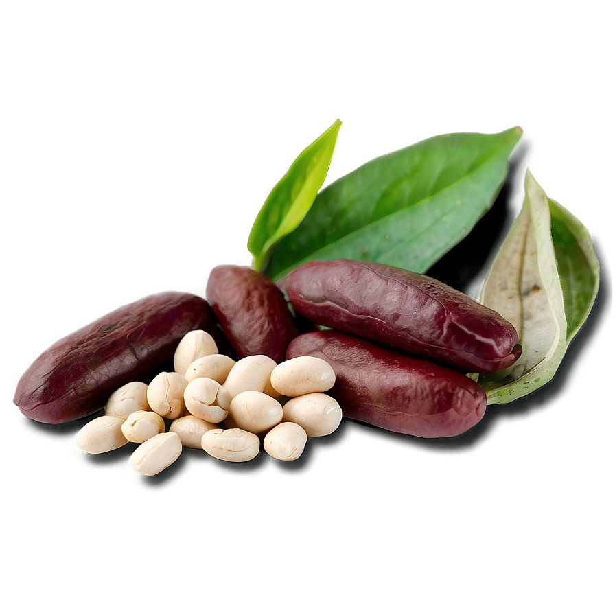 Dried Beans Png 05242024 PNG image