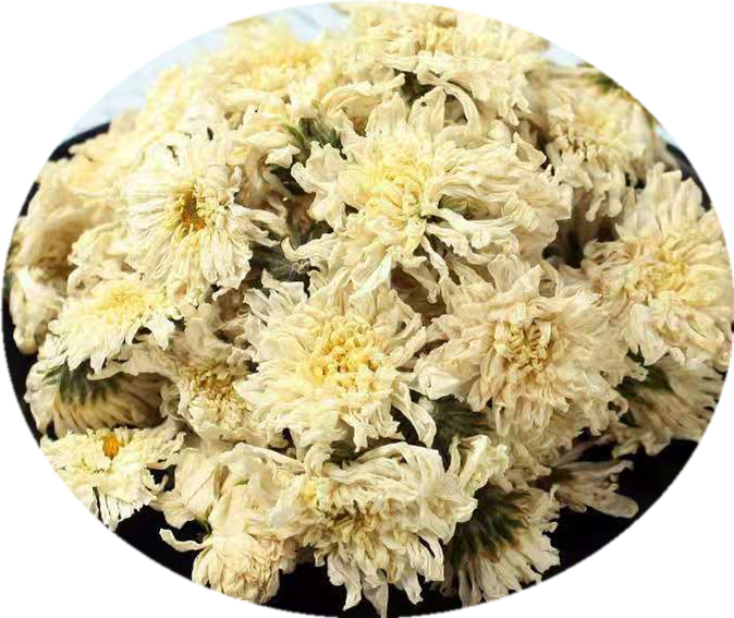 Dried Chrysanthemum Flowers PNG image