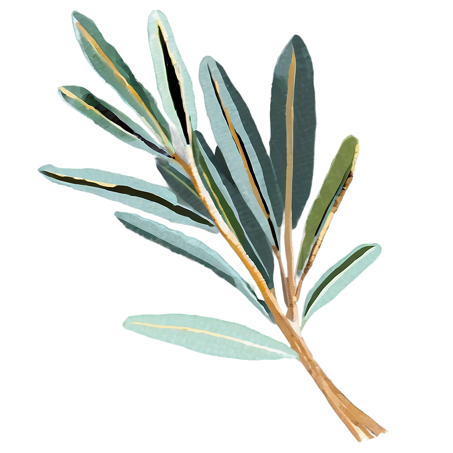 Dried Eucalyptus Bundle Png Ptu PNG image