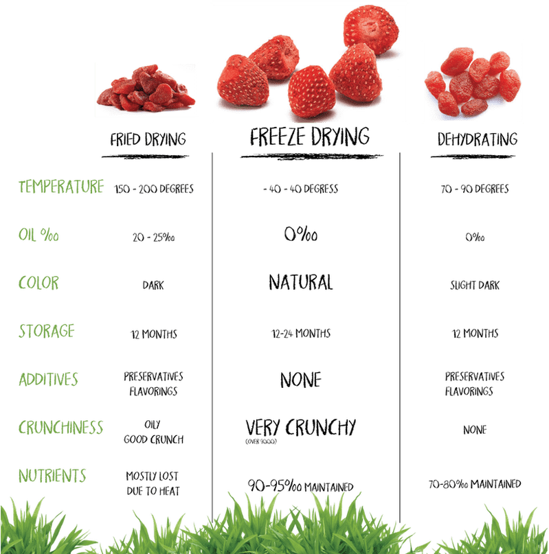 Dried Fruit Comparison Chart PNG image