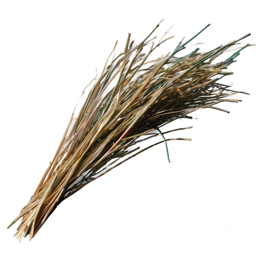 Dried Grass Clippings Png 67 PNG image