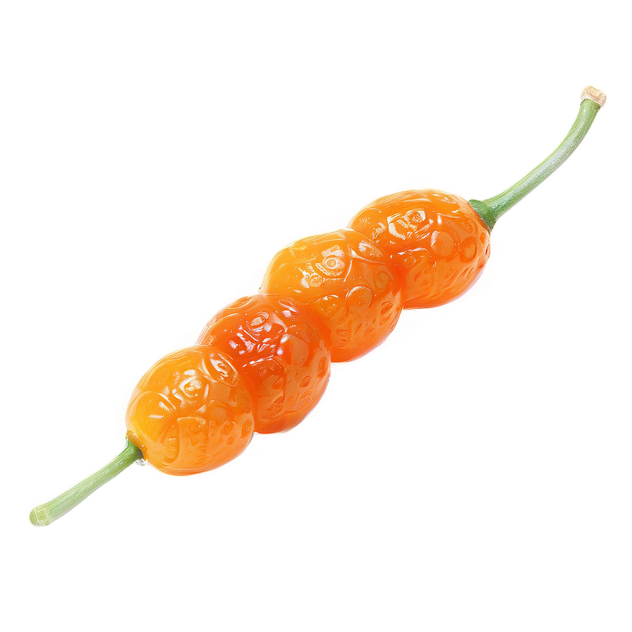 Dried Kumquat Png Inq51 PNG image