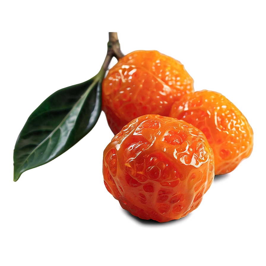 Dried Kumquat Png Vnj67 PNG image