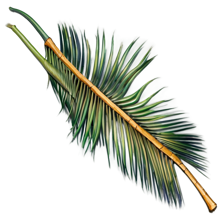 Dried Palm Leaves Png 05252024 PNG image