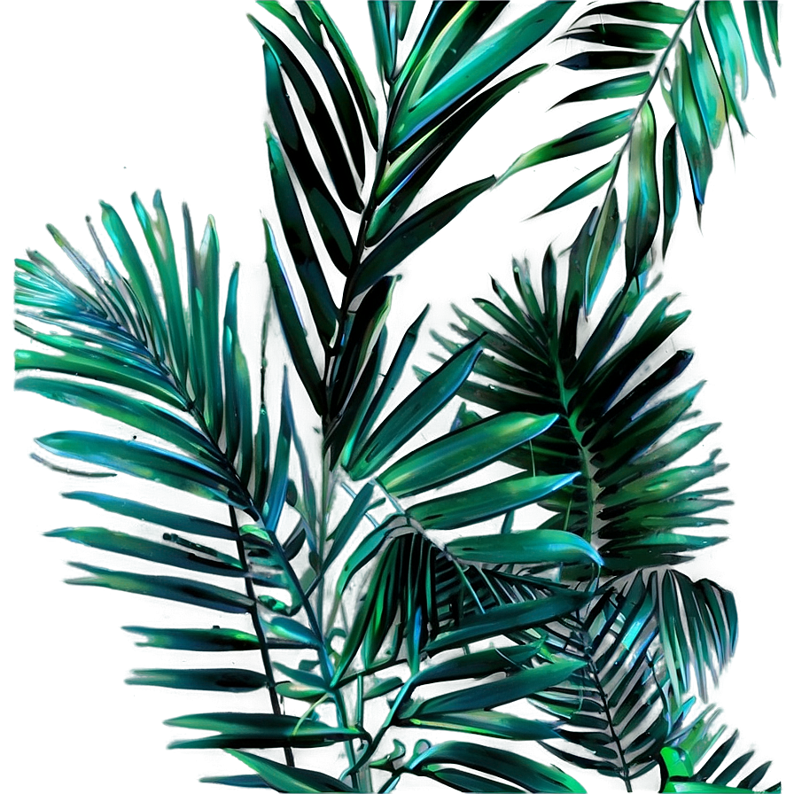 Dried Palm Leaves Png Lwe9 PNG image