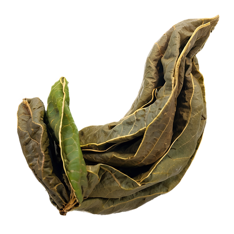 Dried Tea Leaf Png Ekv PNG image