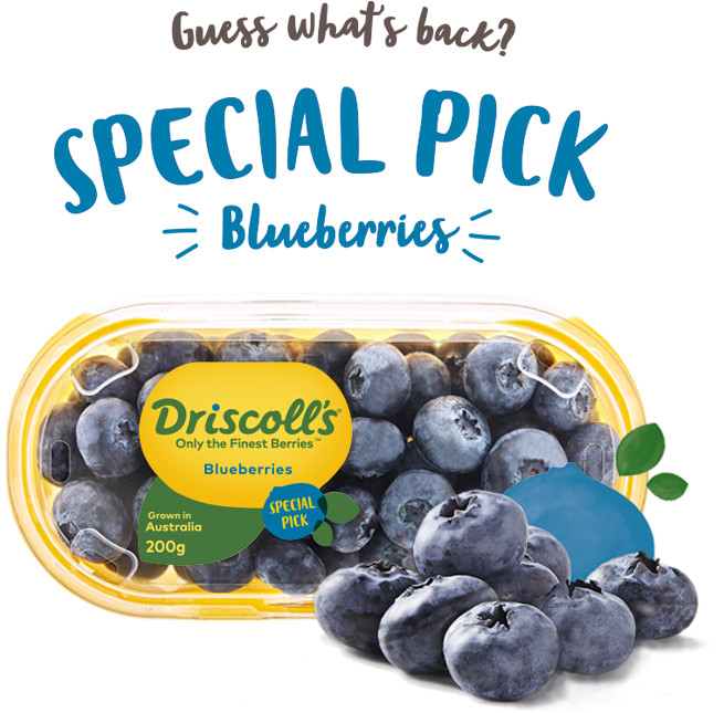 Driscolls Special Pick Blueberries Packaging PNG image