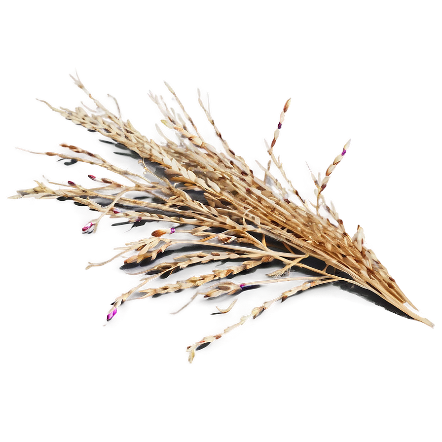 Dry Dead Grass Png Sju PNG image