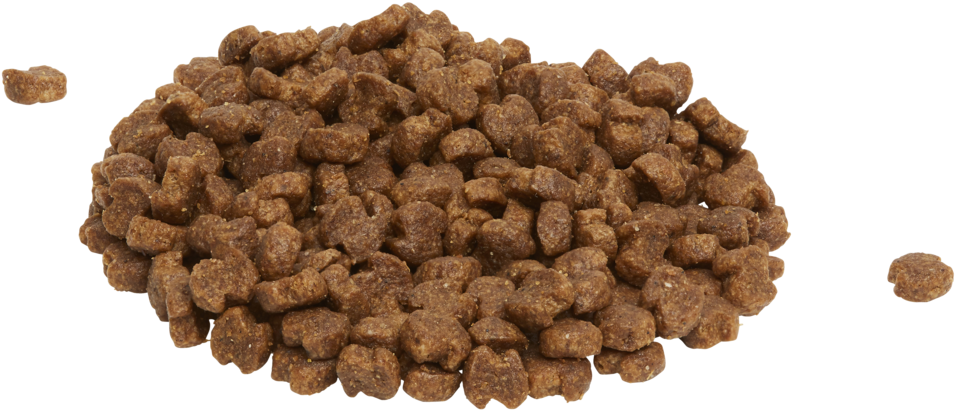 Dry Dog Food Pile PNG image