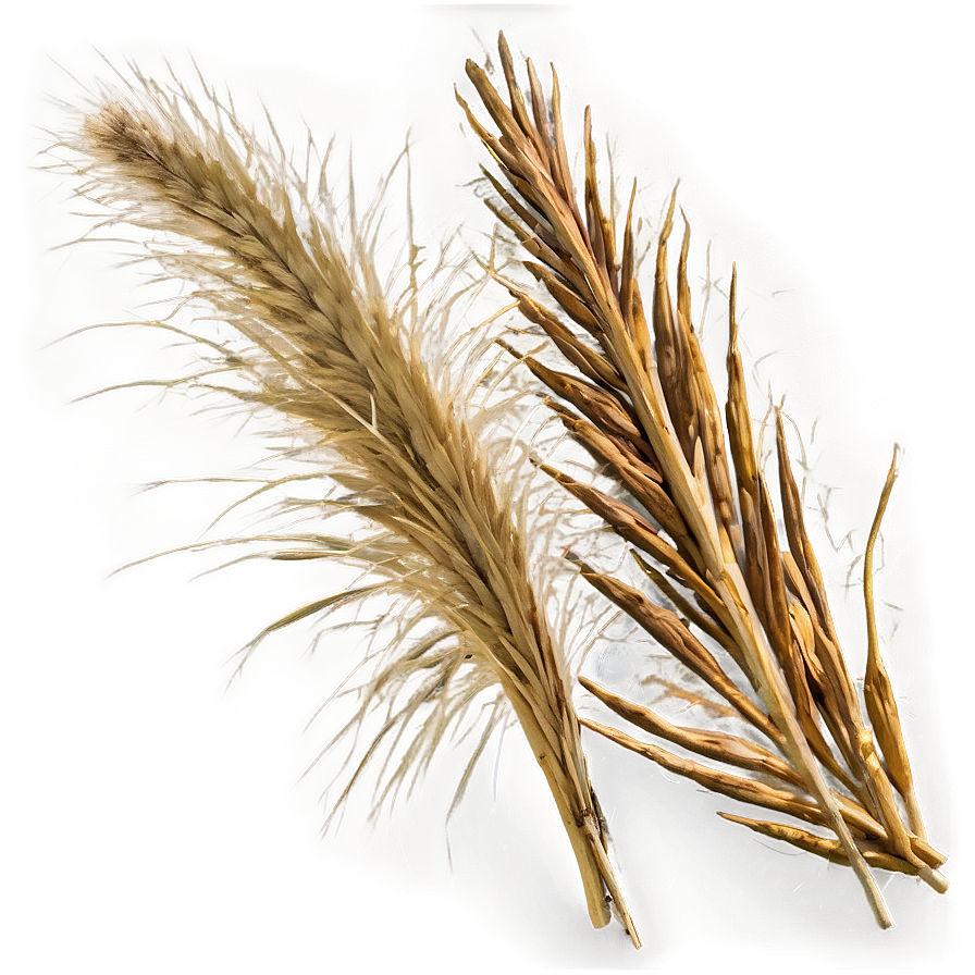 Dry Savanna Grass Png 06262024 PNG image