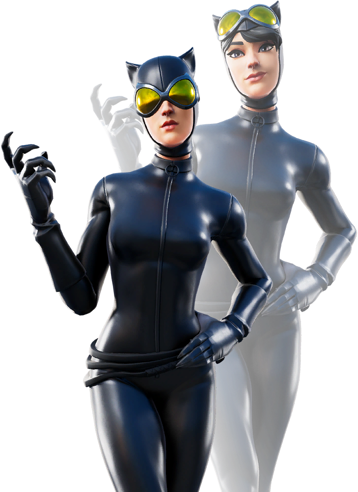 Dual Catwoman Pose PNG image