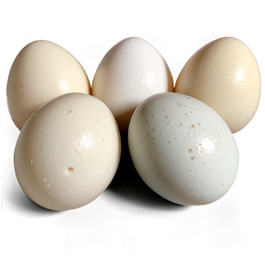 Duck Eggs Png 86 PNG image