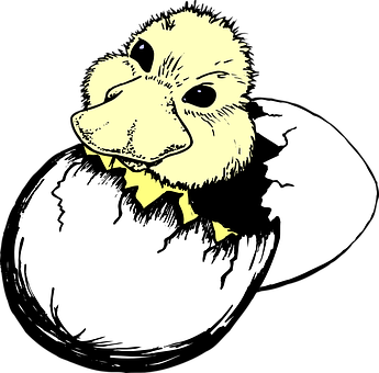 Duckling Hatching From Egg PNG image
