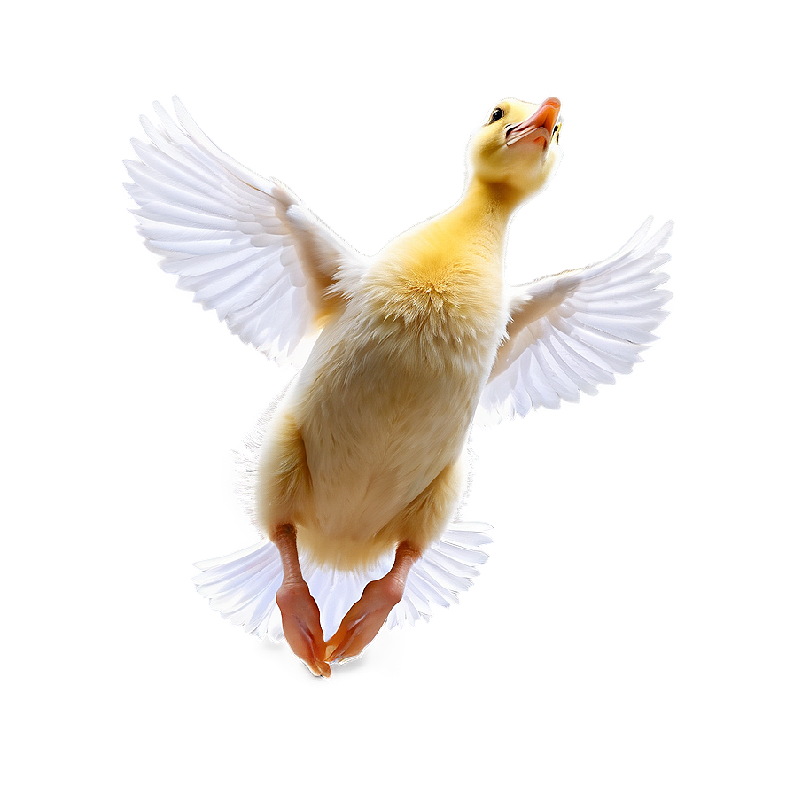 Duckling Jumping Png Lin PNG image