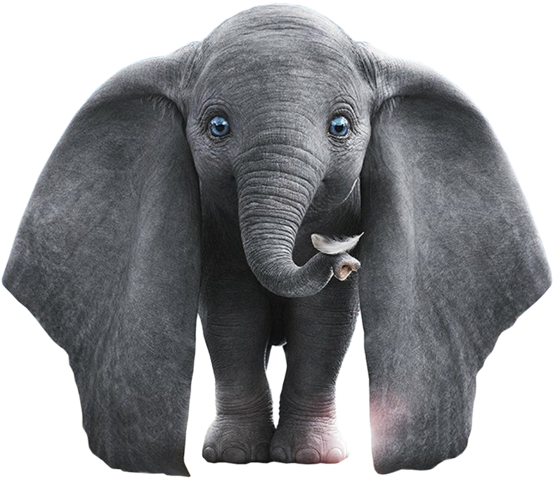 Dumbo The Flying Elephant PNG image