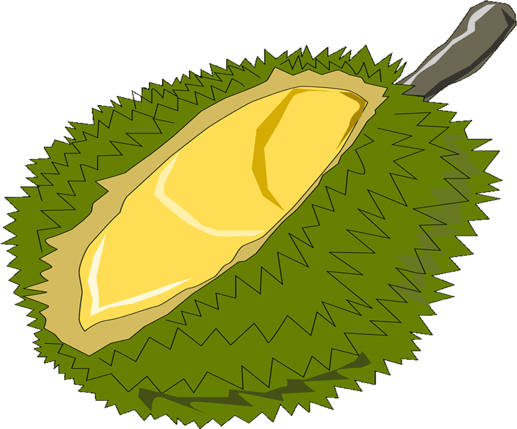 Durian Fruit Illustration.png PNG image