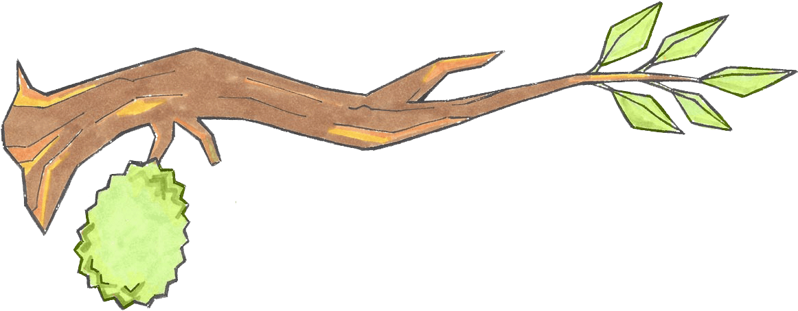 Durianon Tree Branch Illustration PNG image