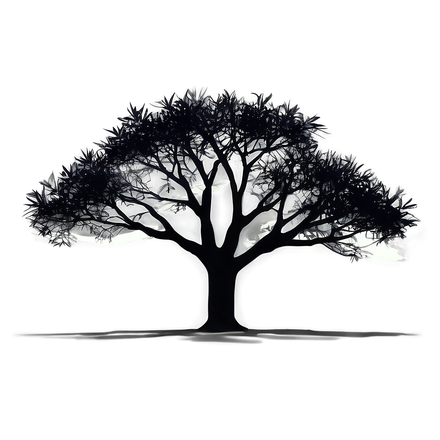 Dusk Tree Silhouette Png Mpt PNG image