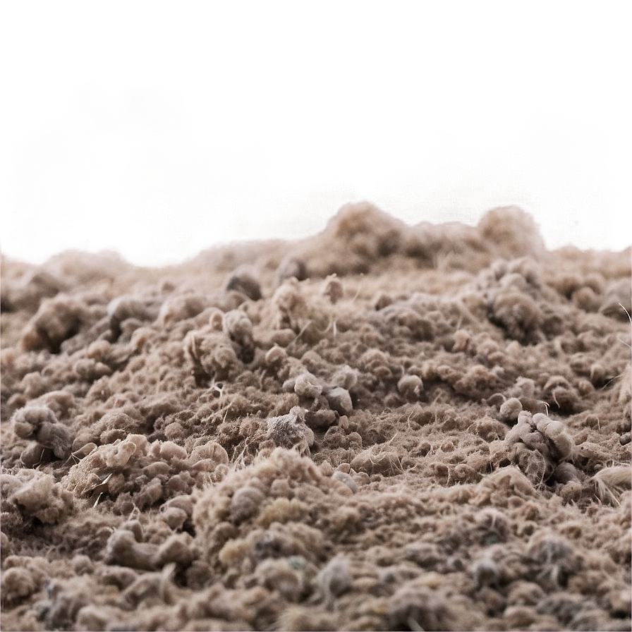 Dust Texture B PNG image