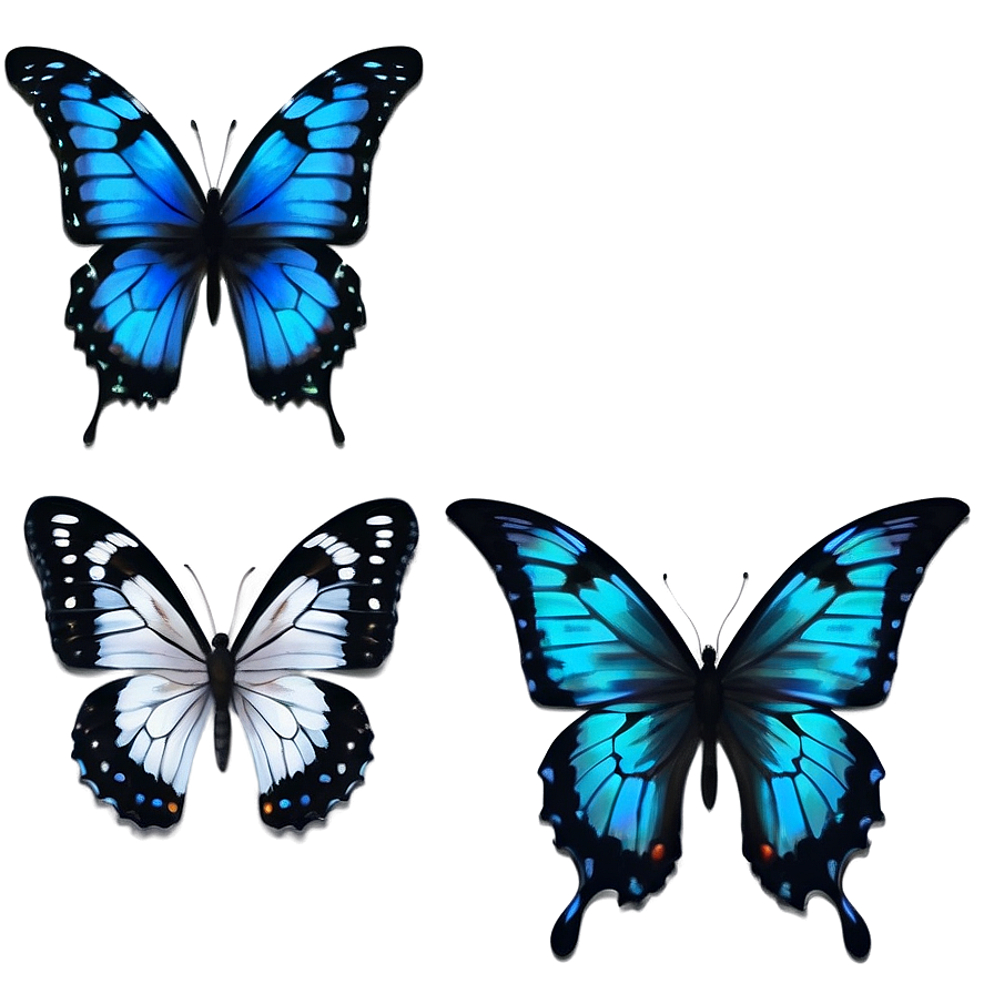 Dynamic Black Butterfly Png Drp70 PNG image