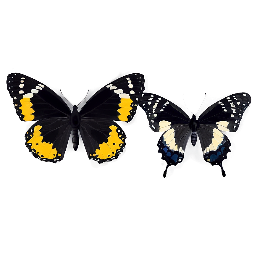 Dynamic Black Butterfly Png Xeo PNG image