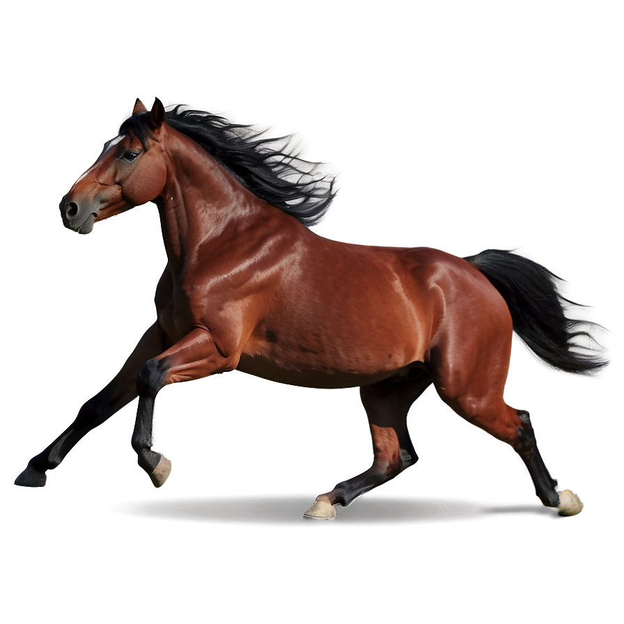 Dynamic Mustang Horse Action Png Mqk PNG image