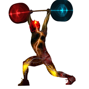 Dynamic Weightlifting Muscle Activation PNG image