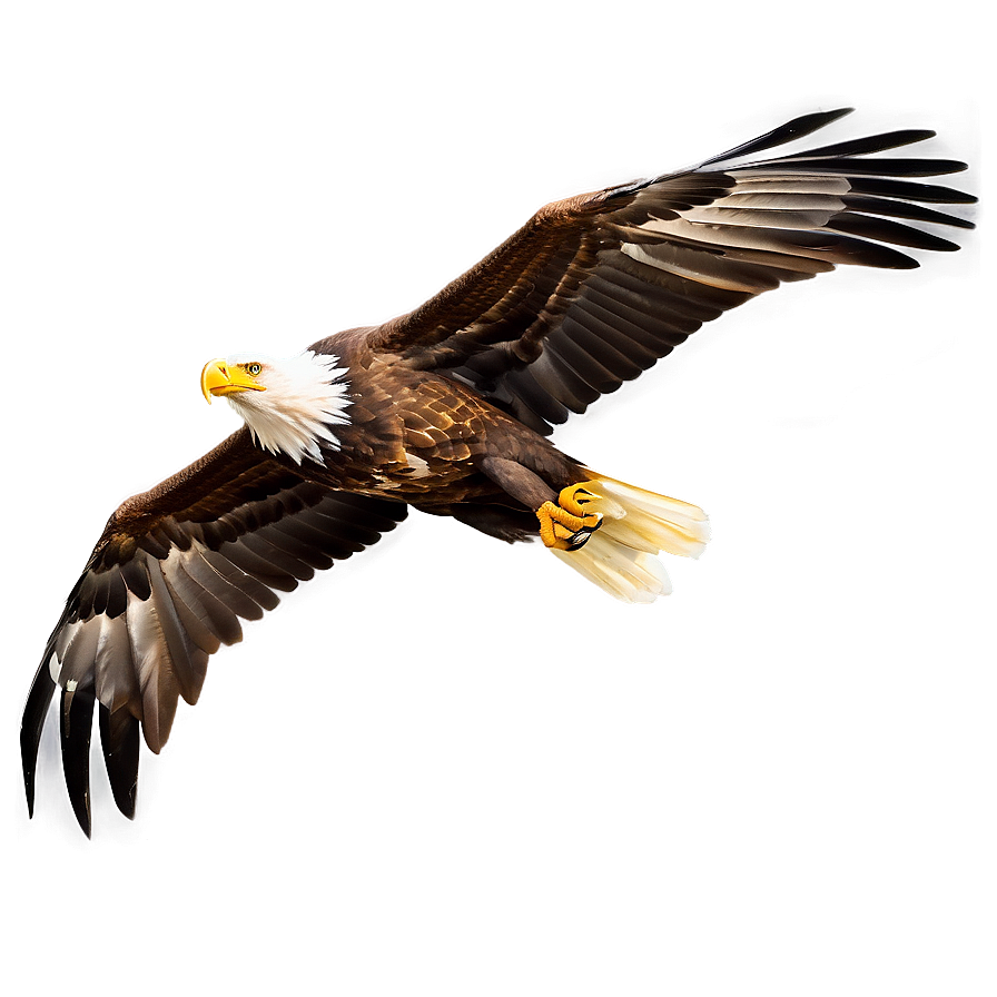 Eagle Bird Soaring Png Lxu5 PNG image