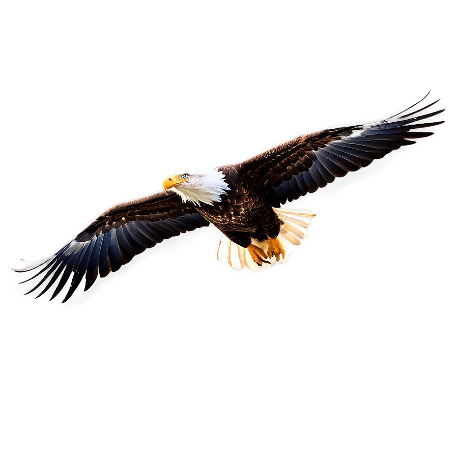 Eagle Bird Soaring Png Mfv25 PNG image