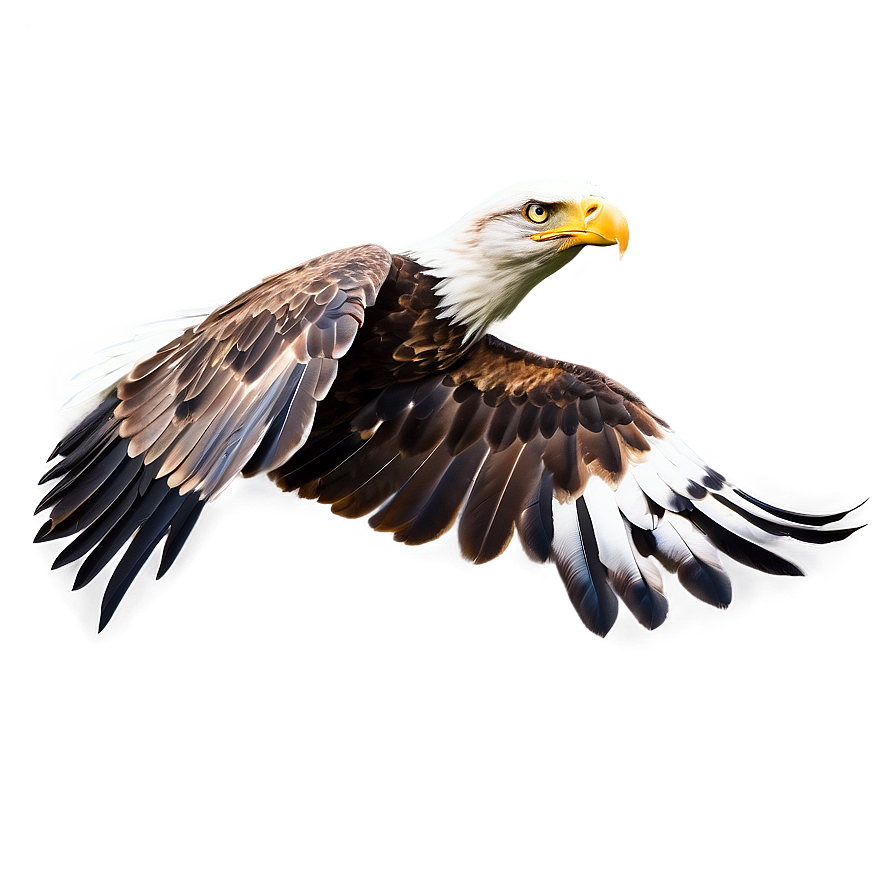 Eagle C PNG image