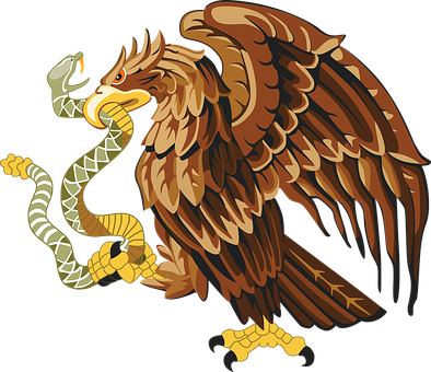 Eagle Grasping Snake Illustration PNG image