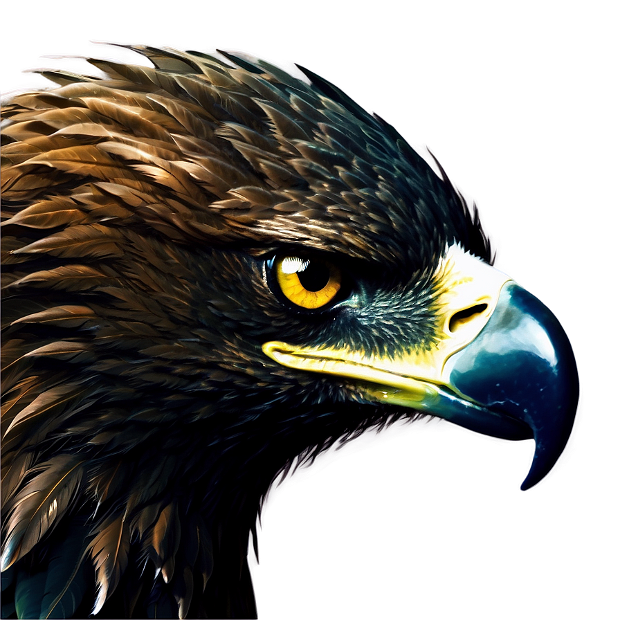 Eagle Head Close-up Png Cbf42 PNG image