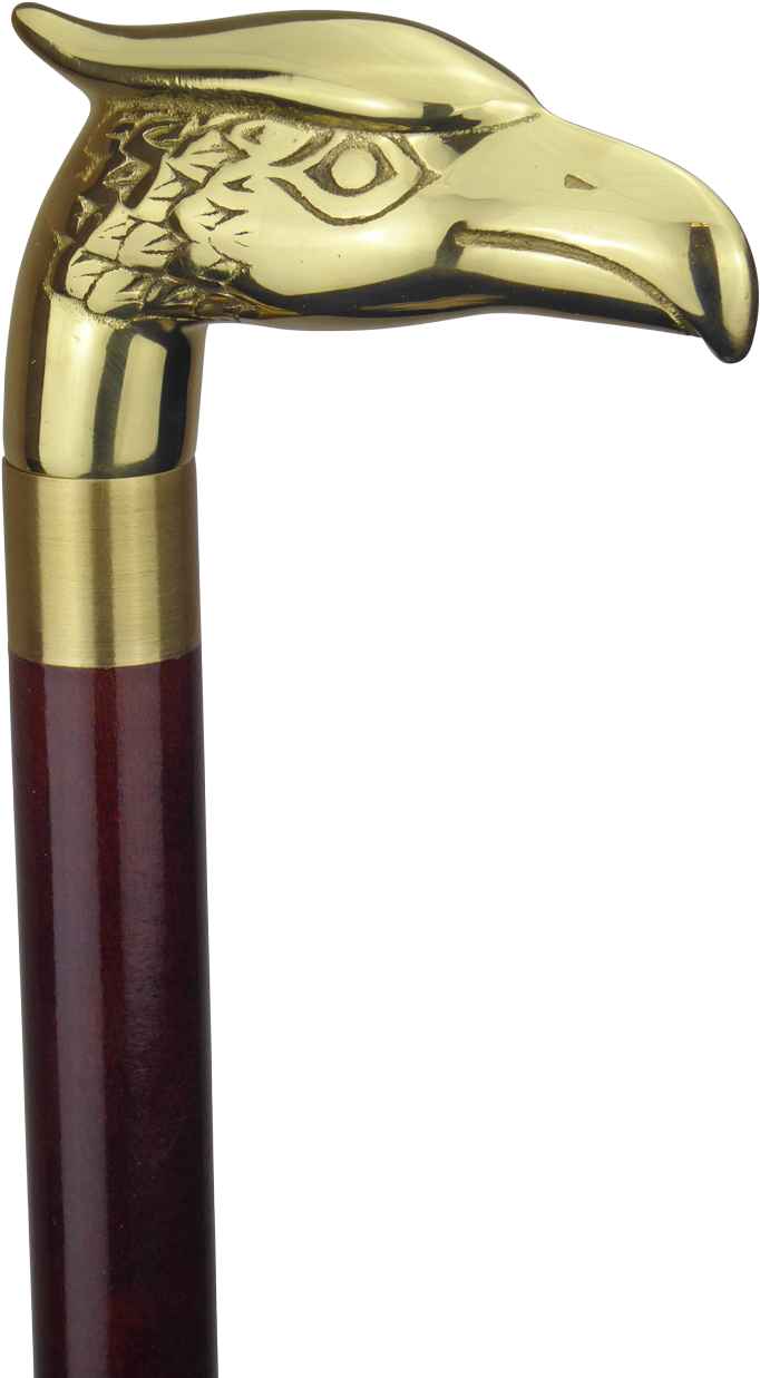 Eagle Head Walking Stick PNG image