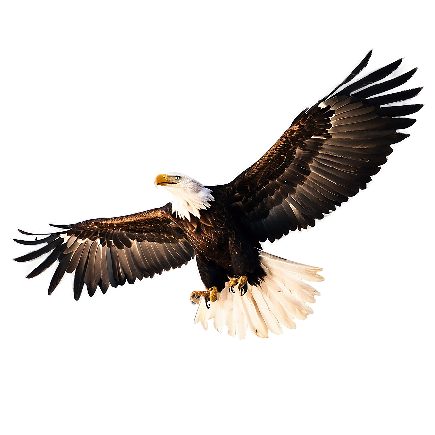 Eagle Wings Silhouette Png 85 PNG image