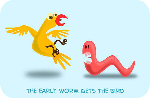 Early Worm Gets The Bird PNG image