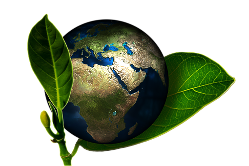 Earth Sprouting Leaf PNG image