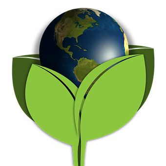 Earthin Green Leaf Sprout PNG image