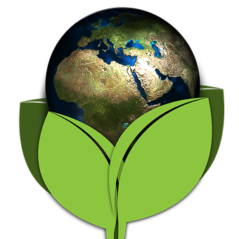 Earthin Green Leaves Concept PNG image