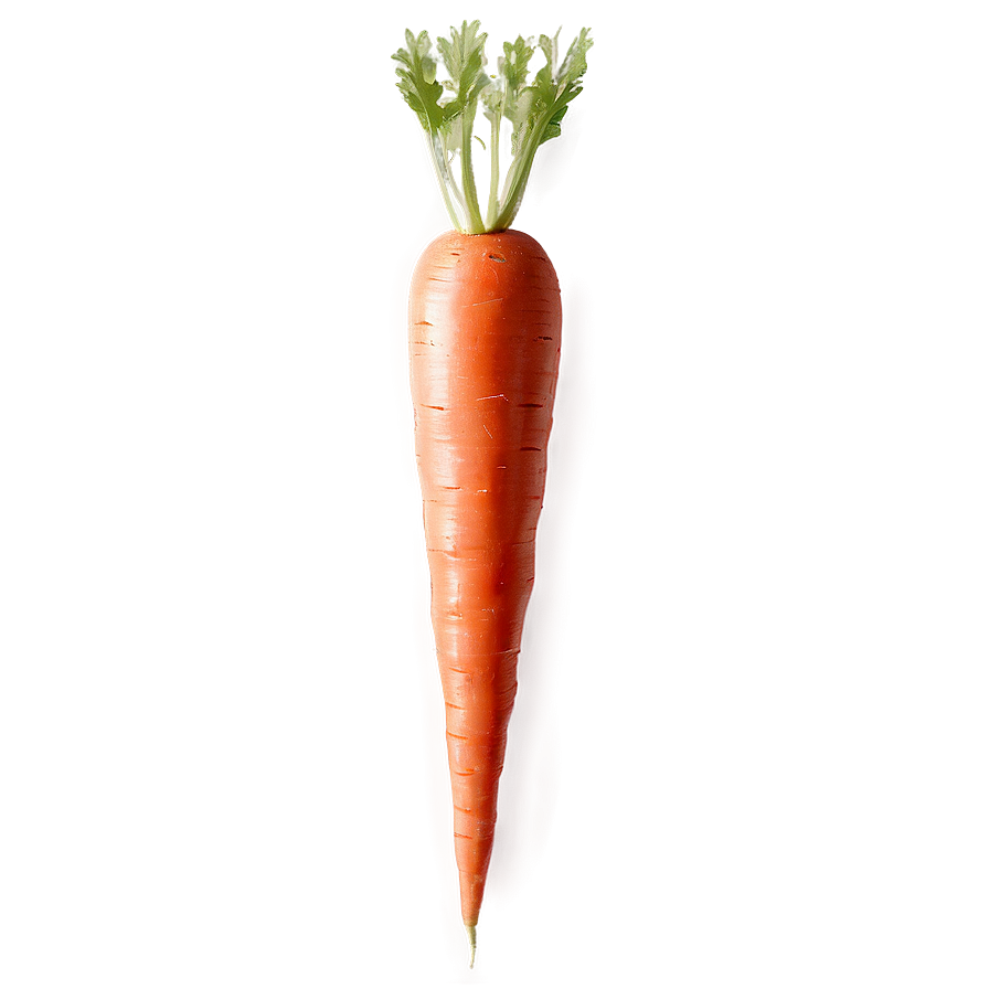 Easter Carrot Clipart Png Bdv79 PNG image