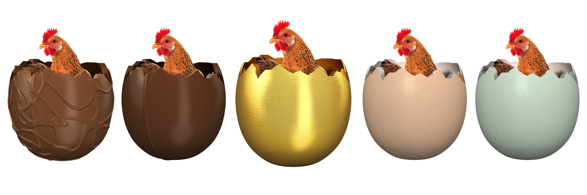 Easter Chickensin Chocolate Eggs PNG image