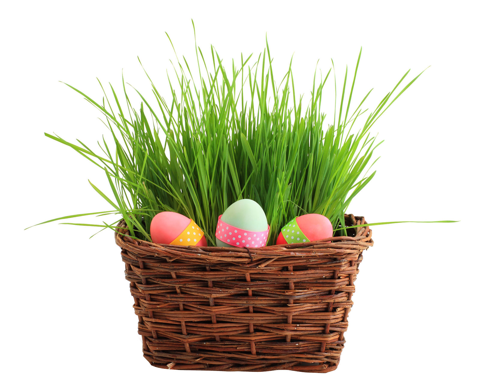 Easter Egg Basketwith Grass PNG image