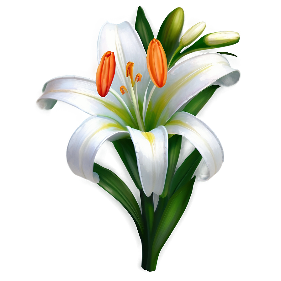 Easter Lily Clipart Png 06262024 PNG image