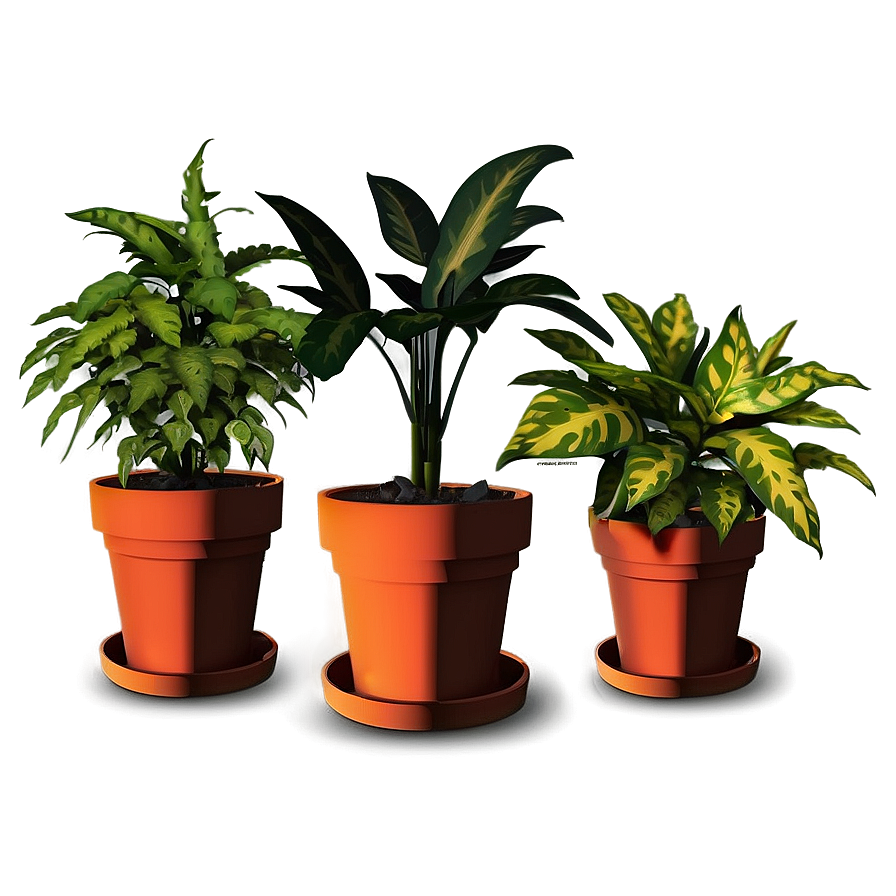 Easy Plant Care Png Guu PNG image