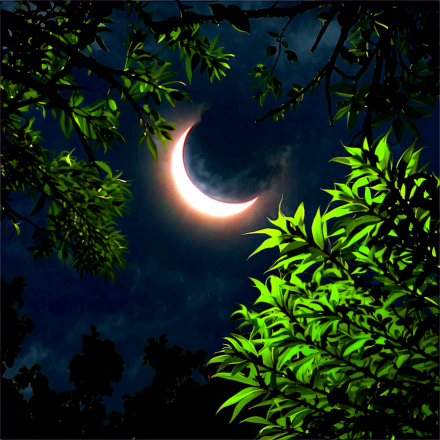 Eclipse Through Trees Png Tse PNG image