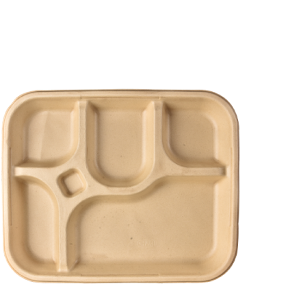 Eco Friendly Compartment Plate PNG image