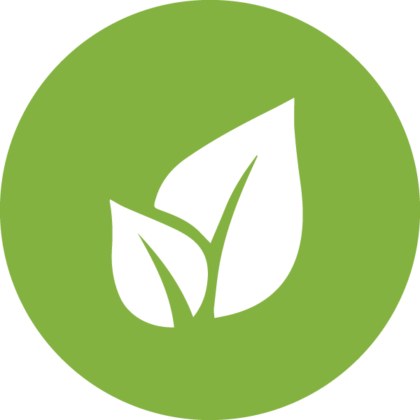 Eco Friendly Leaf Icon PNG image