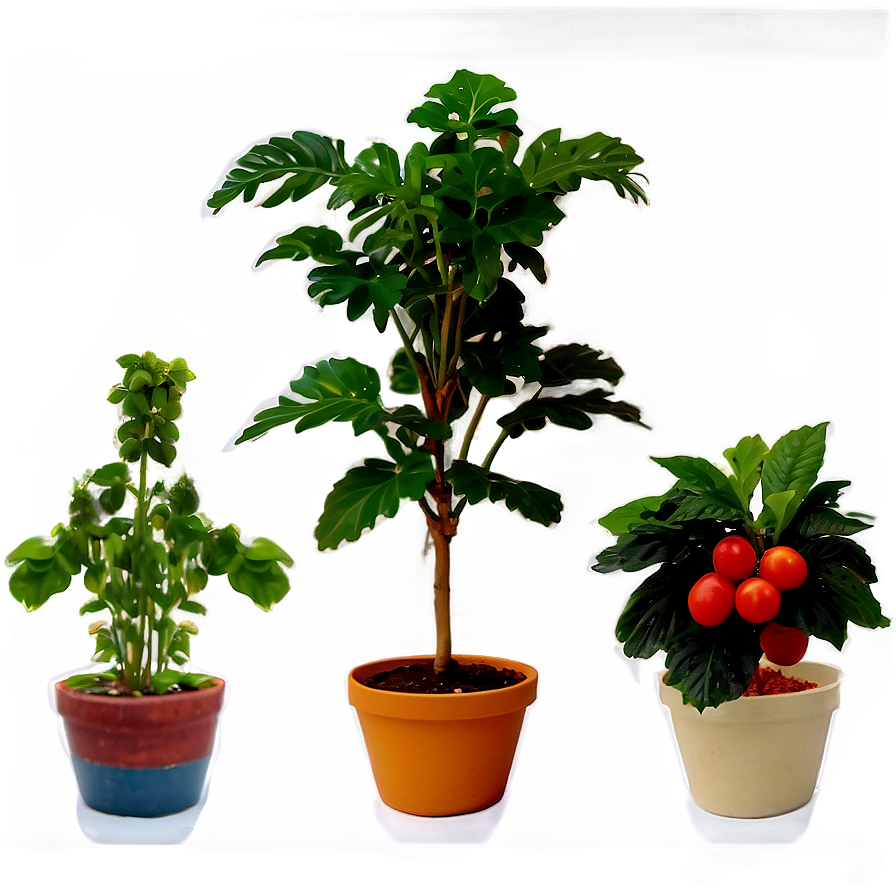 Edible Potted Plants Png 06122024 PNG image