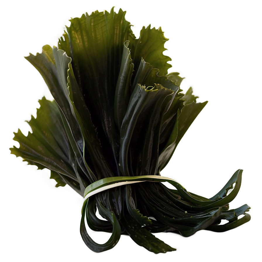 Edible Seaweed Product Png 05242024 PNG image